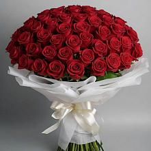 Букет 101 Красная роза Блэк Мэджик в Серноводском Ставропольского края