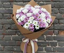 Букет цветов из:  Хризантемы #REPLACE_PRED# Серноводском Ставропольского края