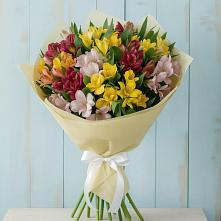 Букет цветов из:  Альстромерии #REPLACE_PRED# Серноводском Ставропольского края