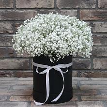 Цветочная композиция из Гипсофила в шляпной коробке в Серноводском Ставропольского края