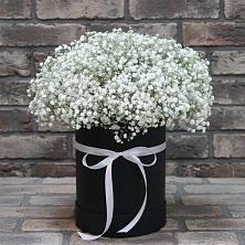 Цветочная композиция из Гипсофила в шляпной коробке в Серноводском Ставропольского края