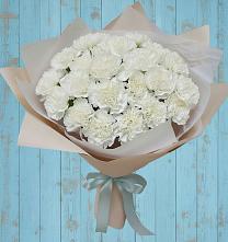 Букет цветов из:  Гвоздики в Серноводском Ставропольского края
