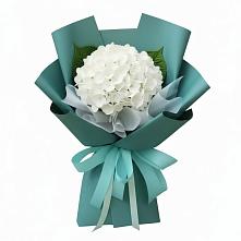 Букет цветов из:  Гортензия в Серноводском Ставропольского края